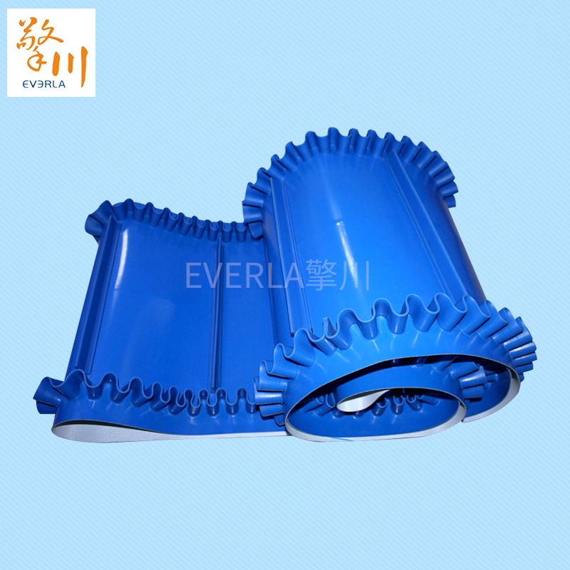  藍色裙邊<a href='http://www.ontimecarpet.com/shusongdai/' target='_blank'><u>輸送帶</u></a>的圖片1