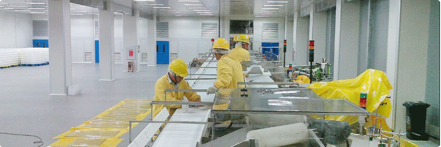 黃綠片基帶 黃綠片基帶