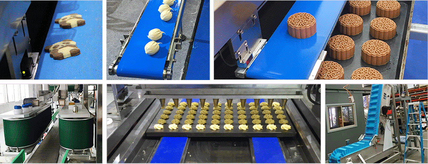 黃綠片基帶案例 黃綠片基帶案例